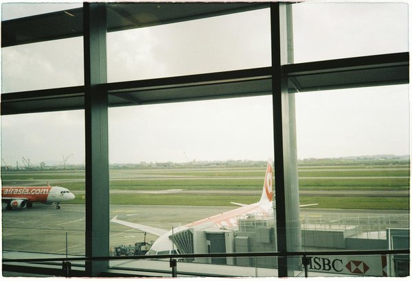 Quels sont les meilleurs spots pour la plongée avec les requins-marteaux à Galapagos : saisons et préparatifs ?