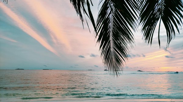 Comment découvrir les traditions de la pêche au saumon en Alaska ?